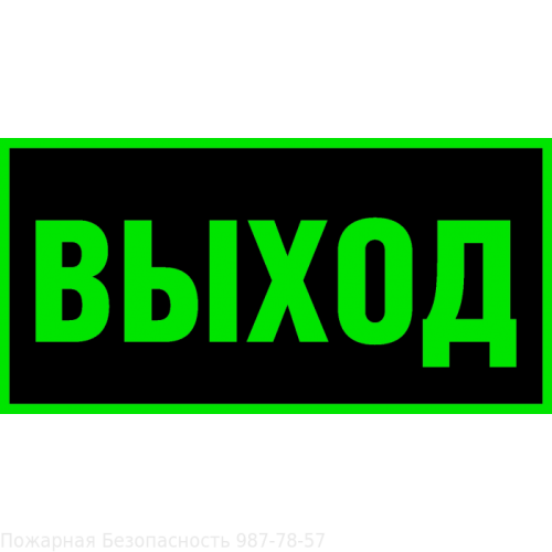 Знак Выход Е22 (фотолюм 150х300)